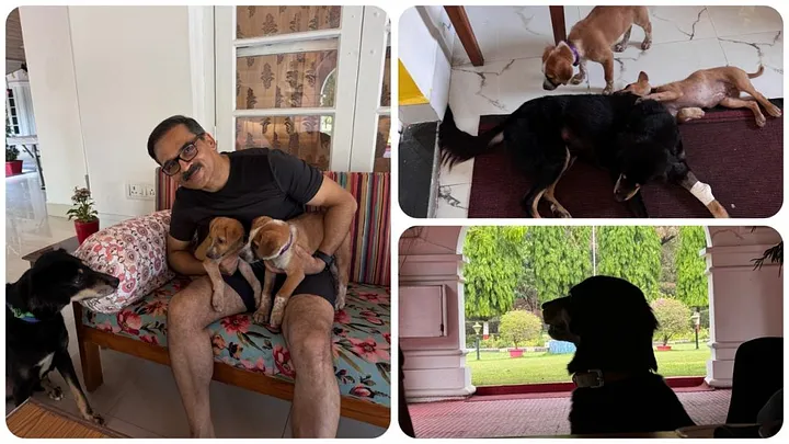 local 'desi' dogs - Dr. Ravinder Singal